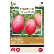 Pomodori Collection Tomato Pink Thai Egg Seeds